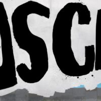 Buscar 7