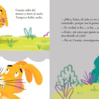 erizo y conejo lluvia 5