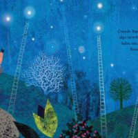 la estrella de topo 3