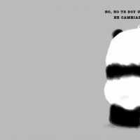 Por favor, Señor Panda 2