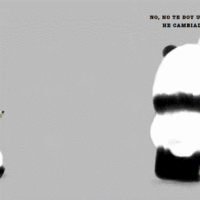 Por favor, Señor Panda 6